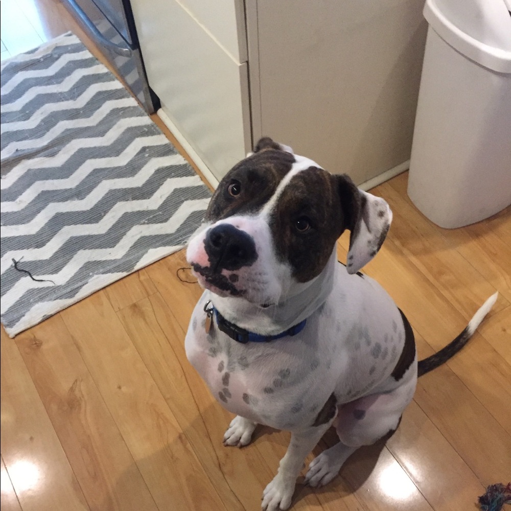 Meet your Posher, Tom